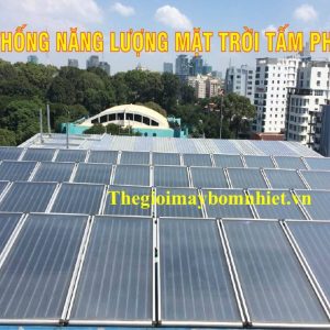 Tam Phang Megasun St200